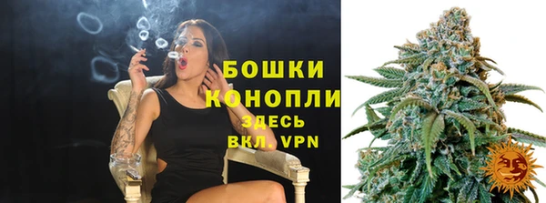 PSILOCYBIN Гусиноозёрск