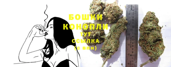 PSILOCYBIN Гусиноозёрск