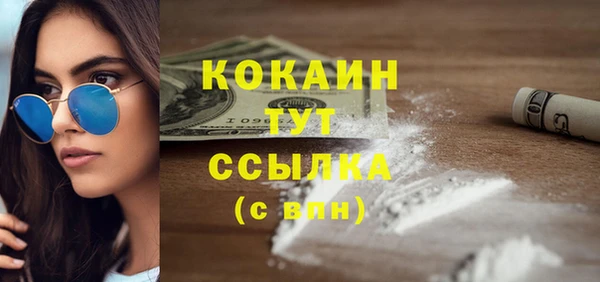 метадон Гусев