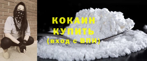 PSILOCYBIN Гусиноозёрск