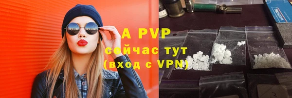 шишки Надым