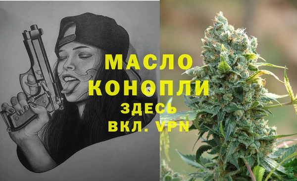 метадон Гусев