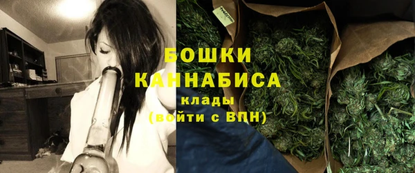 метадон Гусев