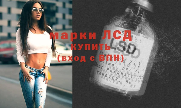 PSILOCYBIN Гусиноозёрск